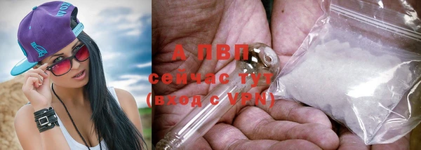 твердый Новозыбков