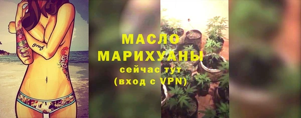 твердый Новозыбков