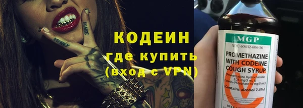 твердый Новозыбков