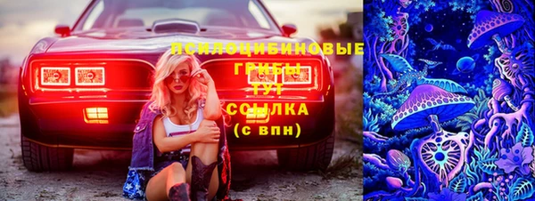 таблы Новокубанск