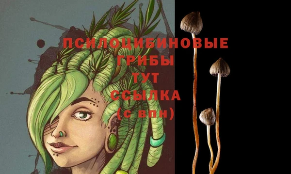 круглые Беломорск