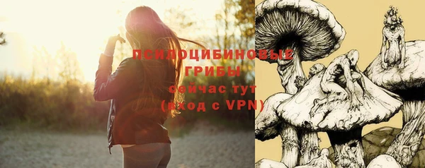 МДПВ Нея