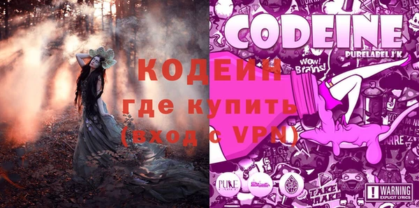 твердый Новозыбков