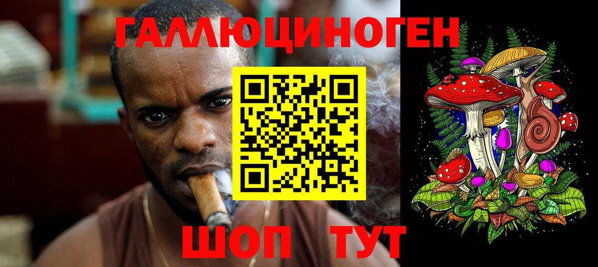 Псилоцибиновые грибы GOLDEN TEACHER Рославль