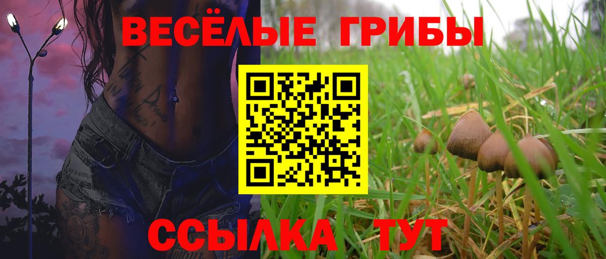 Псилоцибиновые грибы мухоморы Рославль