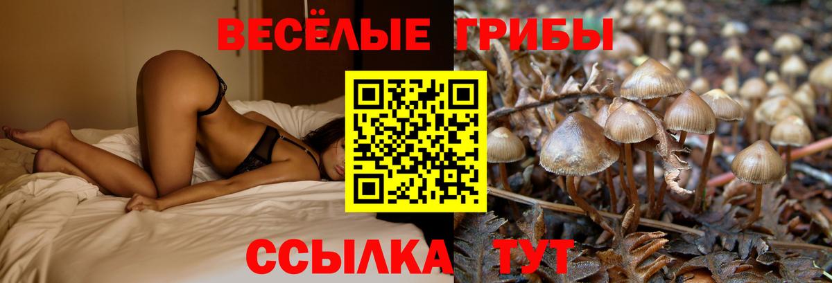 Рославль  Галлюциногенные грибы GOLDEN TEACHER  Вход с VPN 