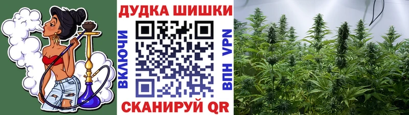 Конопля план  купить закладку  Рославль 