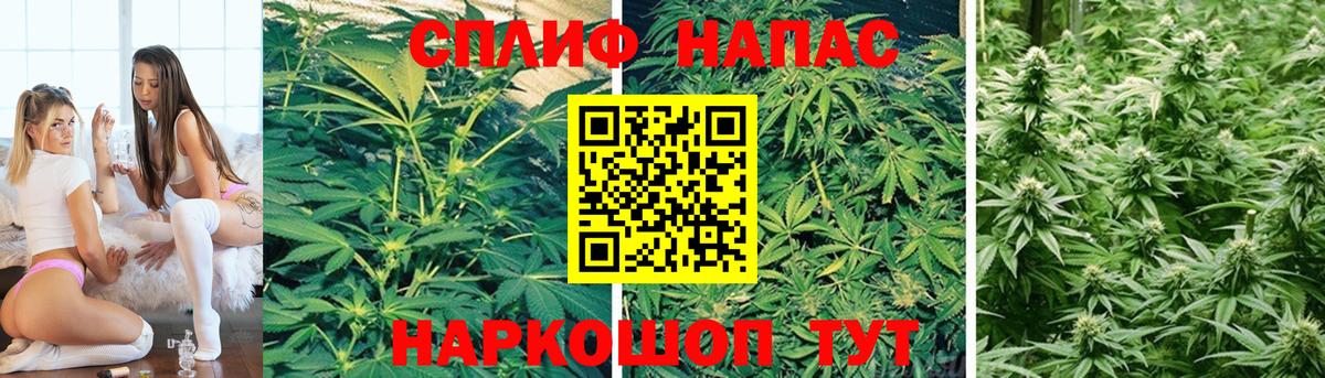 Бошки Шишки конопля Рославль